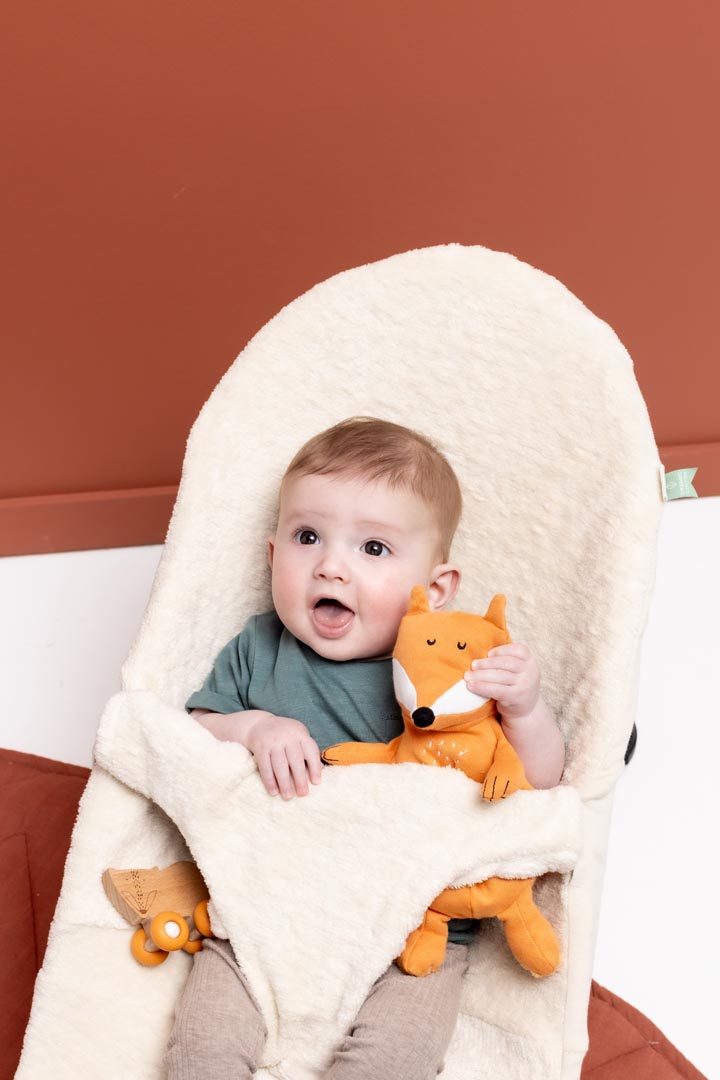 Peluche petite - Mr. Fox